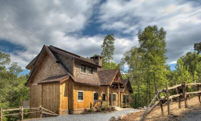 Blue Ridge TreeHouse at Bear Claw Vineyards
