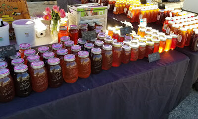 Certified Farmers' Market Palm Springs Outdoor