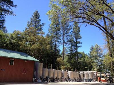 Robert Foley Vineyards