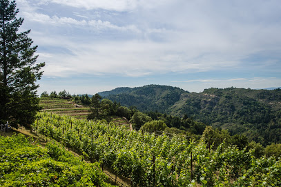 Barnett Vineyards