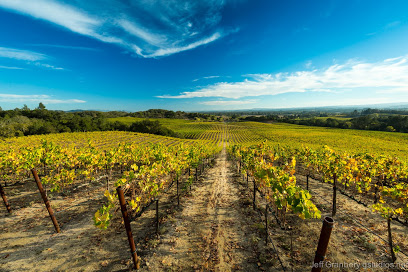 Windsor Oaks Vineyards