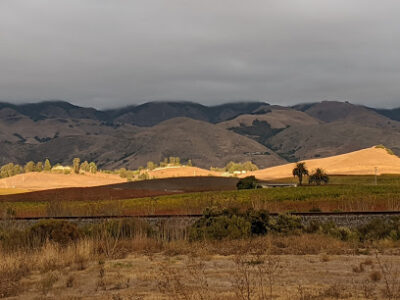 Autry Cellars