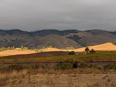Autry Cellars