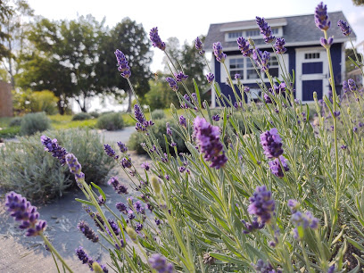 Sixteen Sprigs Lavender Farm