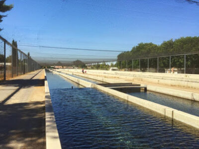 Mojave River State Fish Hatchery