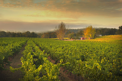 Ramey Wine Cellars