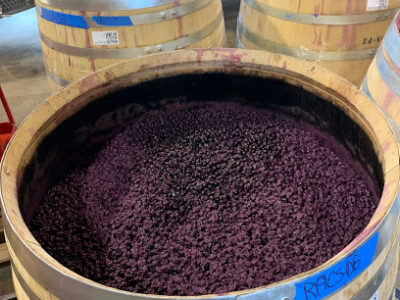 Rasa Vineyards