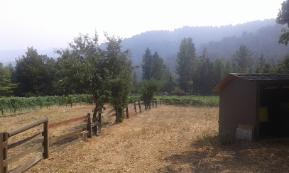 Chaine d'Or Vineyards