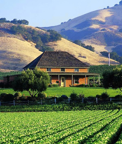 Talley Vineyards