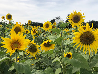 Sneads Farm
