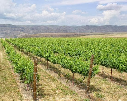 Clearwater Canyon Cellars