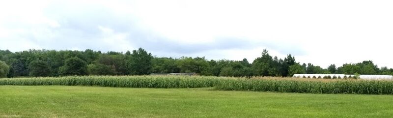 Barthel Farms
