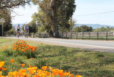 I Bike Santa Barbara Wine Country Tours