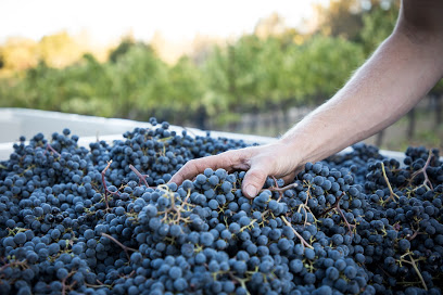 T. Berkley Wines