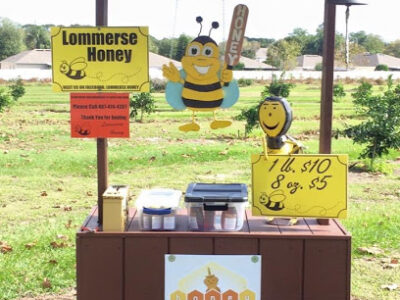 Lommerse Honey