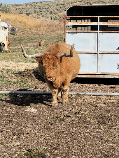 Twin Oaks Farms
