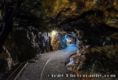 Consolidated Gold Mine