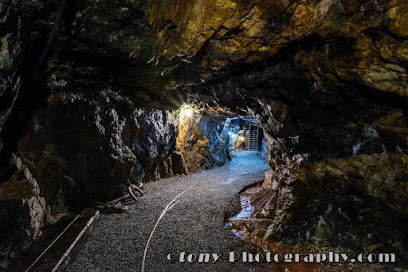 Consolidated Gold Mine