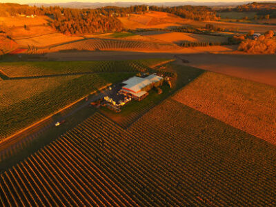 Methven Family Vineyards