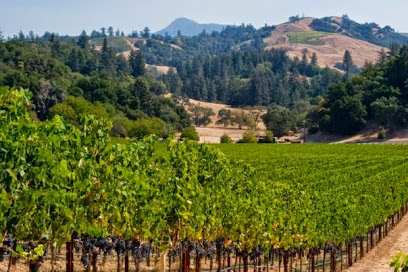 Verité Winery