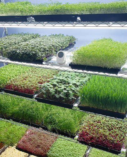 Valley Microgreens