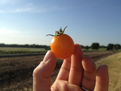 Pure Land Farm