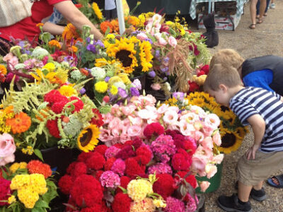 Birdhouse Farmers Market