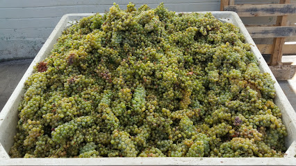 San Pasqual Winery