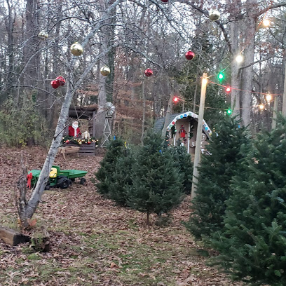 Wendy's Christmas Trees