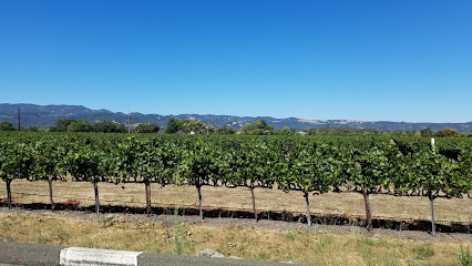 Carneros Wine Company