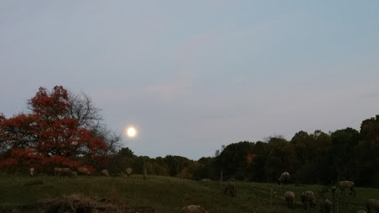 Buckham Farms