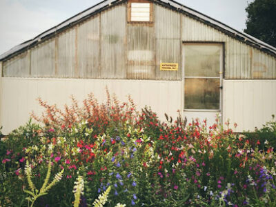 Painted Flower Farm, Inc.