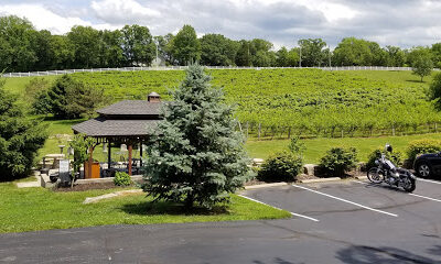 Albonee Country Inn & Winery