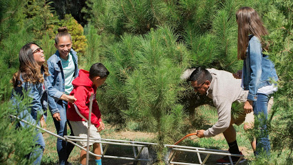 Hay Family Farms