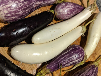 Red Hills Online Farmers Market Pickup Hub