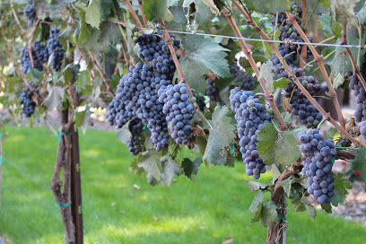 Exit 96 Wineries
