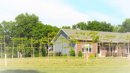 Hummingbird Vineyard & Winery