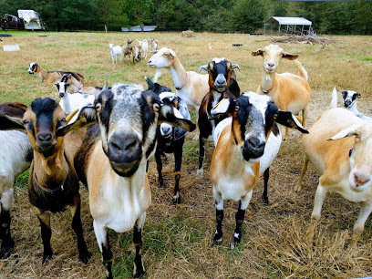 Burden Creek Dairy, LLC