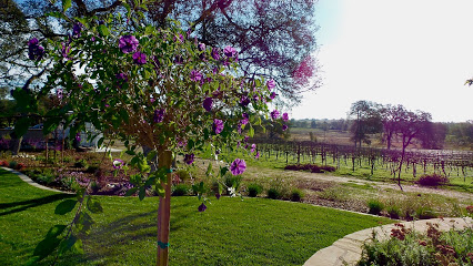 Rancho Roble Vineyards