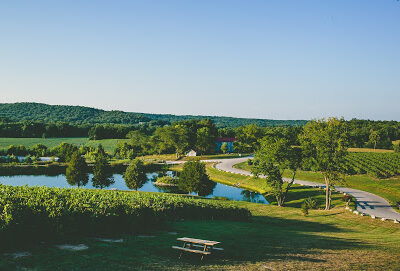Chandler Hill Vineyards