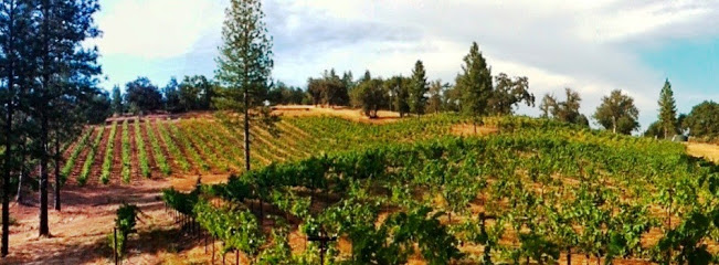 Uphill Vineyards