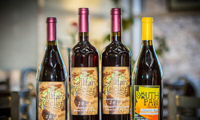 Winery 101 Peoria