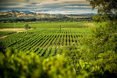 TWOMEY Russian River Valley