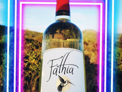 Fathia Wines Tasting