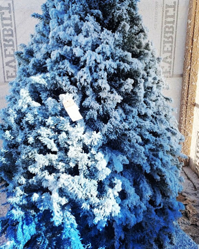 Valley View Christmas Trees