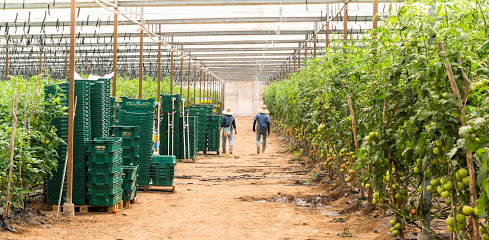 Jacobs Farm del Cabo