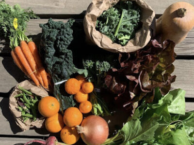 Blosser Urban Garden
