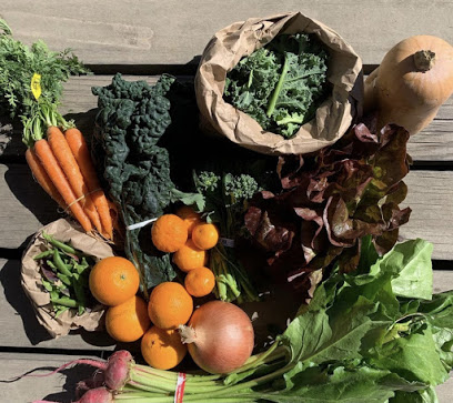 Blosser Urban Garden