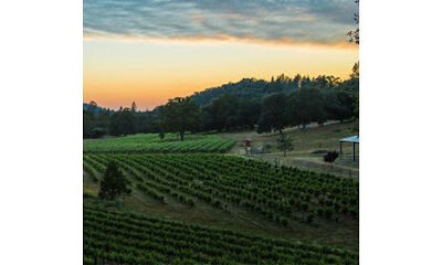 CEDAR CREEK RANCH & VINEYARDS
