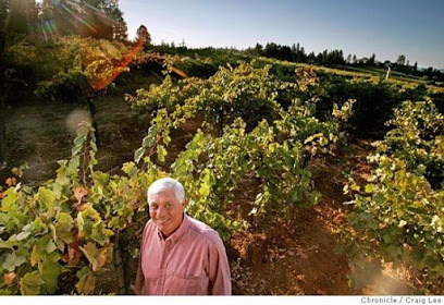 Howell Mountain Vineyards